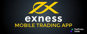 Unlock Your Trading Potential with Exness Educational Resources