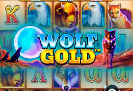 모든 것을 이기는 전략 wolf gold slot