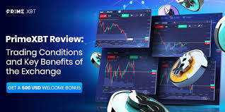 Maximize Your Trading Potential with the PrimeXBT iOS App -640349405 Maximize Your Trading Potential with the PrimeXBT iOS App -640349405
